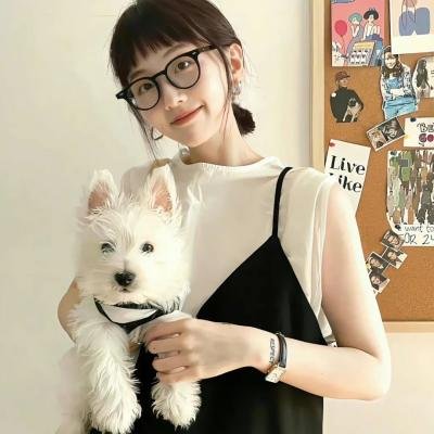 迷失真相